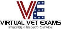 Virtual Vet Exams | Online Veteran Medical Assessments